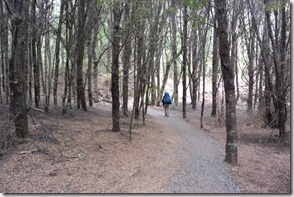 Weltreise 2013 - Neuseeland 003