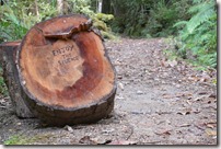 Weltreise 2013 - Neuseeland 004