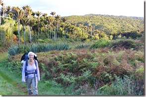 Weltreise 2013 - Neuseeland 005