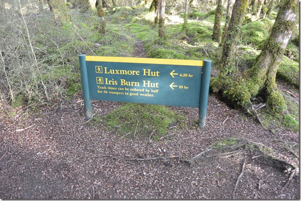 Weltreise 2013 - Neuseeland 005