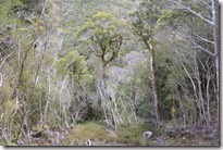 Weltreise 2013 - Neuseeland 007