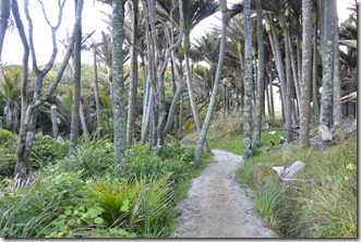 Weltreise 2013 - Neuseeland 007