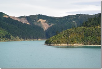 Weltreise 2013 - Neuseeland 008