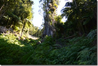 Weltreise 2013 - Neuseeland 010