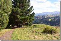 Weltreise 2013 - Neuseeland 010