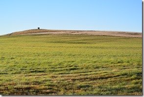 Weltreise 2013 - Neuseeland 010