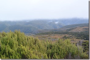 Weltreise 2013 - Neuseeland 011