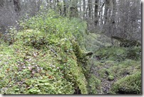 Weltreise 2013 - Neuseeland 011