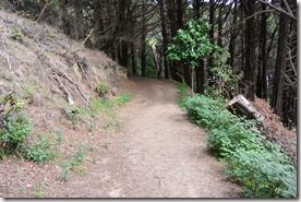 Weltreise 2013 - Neuseeland 012