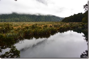 Weltreise 2013 - Neuseeland 012