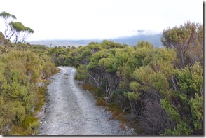 Weltreise 2013 - Neuseeland 013