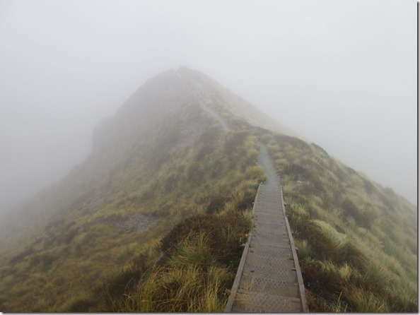 Weltreise 2013 - Neuseeland 013