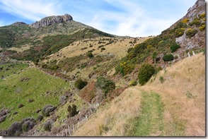 Weltreise 2013 - Neuseeland 014