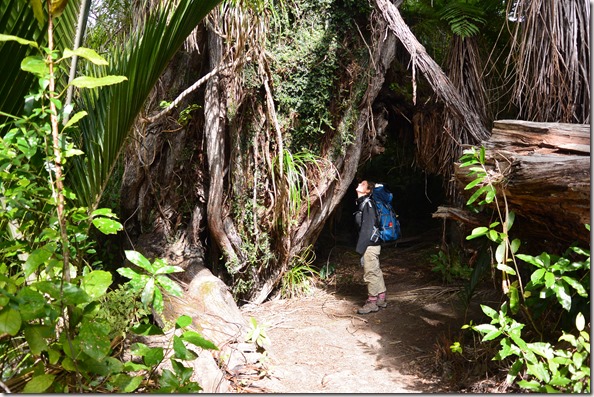 Weltreise 2013 - Neuseeland 017