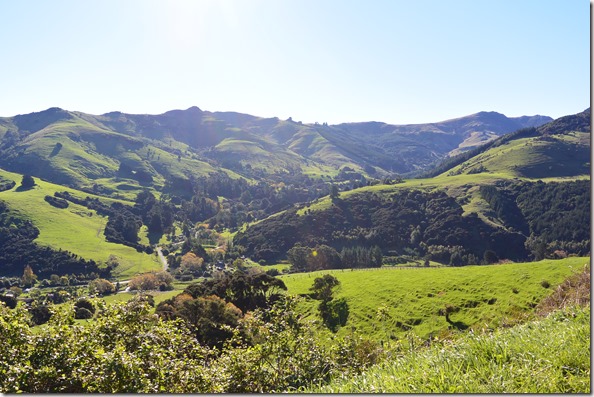 Weltreise 2013 - Neuseeland 017