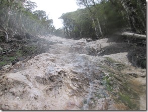 Weltreise 2013 - Neuseeland 018