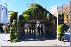 Weltreise 2013 - Neuseeland 018