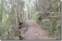 Weltreise 2013 - Neuseeland 021