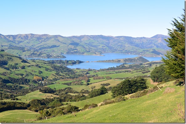 Weltreise 2013 - Neuseeland 021