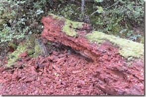 Weltreise 2013 - Neuseeland 022