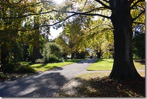 Weltreise 2013 - Neuseeland 023