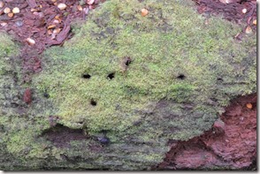 Weltreise 2013 - Neuseeland 023