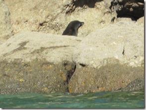 Weltreise 2013 - Neuseeland 024