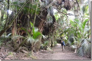 Weltreise 2013 - Neuseeland 024