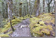 Weltreise 2013 - Neuseeland 024