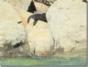 Weltreise 2013 - Neuseeland 025