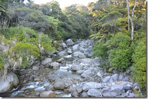 Weltreise 2013 - Neuseeland 028