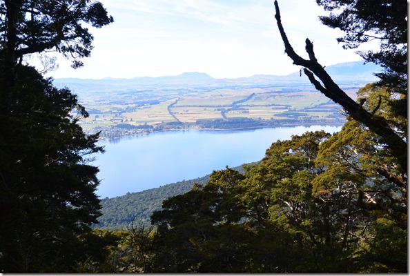 Weltreise 2013 - Neuseeland 030