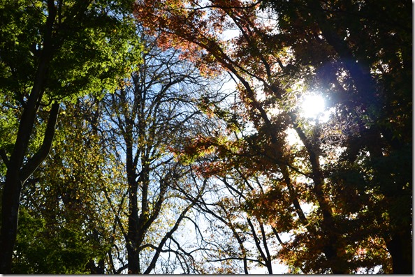 Weltreise 2013 - Neuseeland 031