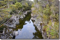 Weltreise 2013 - Neuseeland 034