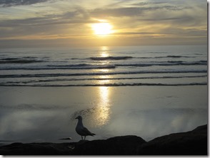 Weltreise 2013 - Neuseeland 035