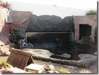 Weltreise 2013 - Neuseeland 035