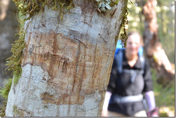 Weltreise 2013 - Neuseeland 036