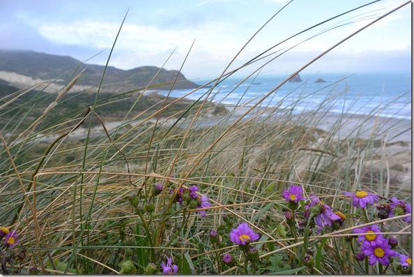 Weltreise 2013 - Neuseeland 036