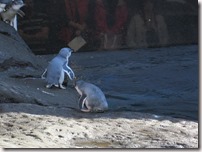 Weltreise 2013 - Neuseeland 036