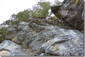 Weltreise 2013 - Neuseeland 037