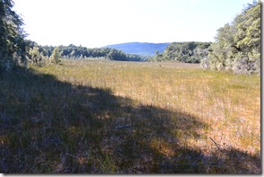 Weltreise 2013 - Neuseeland 037