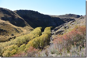 Weltreise 2013 - Neuseeland 040