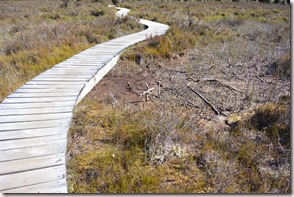 Weltreise 2013 - Neuseeland 040