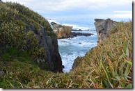 Weltreise 2013 - Neuseeland 041