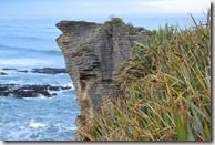 Weltreise 2013 - Neuseeland 042