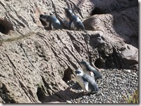 Weltreise 2013 - Neuseeland 042