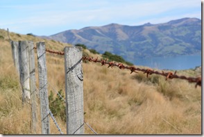 Weltreise 2013 - Neuseeland 042