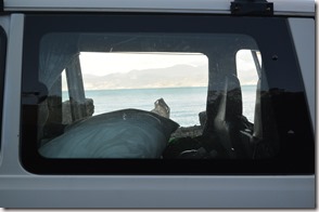 Weltreise 2013 - Neuseeland 043