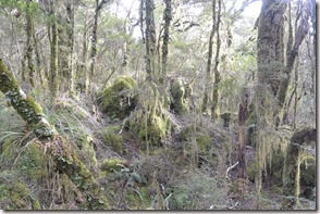 Weltreise 2013 - Neuseeland 043