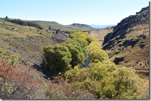 Weltreise 2013 - Neuseeland 043